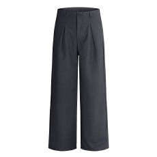 2025秋冬老钱风毛呢A字型休闲阔腿垂感宽松西裤通勤直筒长裤男潮