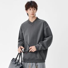 批发实拍2025<b class='q'>秋</b>冬新款V领纯色卫衣男宽松绣标打底衫百搭情侣上衣