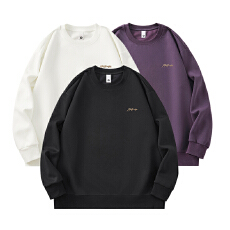 批发实拍2025秋<b class='q'>冬</b>新款重磅纯棉卫衣圆领男女中性款潮流立体字母印花