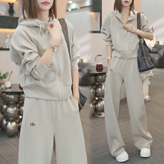 批发2026洋气休闲运动套装女春<b class='q'>秋</b>季大码显瘦百搭连帽外套休闲裤两件套