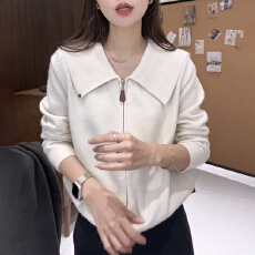 批发针织开衫秋季翻领休闲拉链毛衣外套女<b class='q'>宽松</b>时尚百搭上衣
