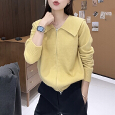 批发针织开衫秋季翻领休闲拉链毛衣外套女<b class='q'>宽松</b>时尚百搭上衣