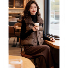 批发简约风设计感马甲棉服女2026<b class='q'>冬</b>季潮流小众洋气慵懒风显瘦纯色衣服