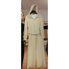 批发流行简约休闲风时尚套<b class='q'>装</b>2025秋冬季新款连帽卫衣阔脚裤<b class='q'>两件</b>套<b class='q'>女</b>款