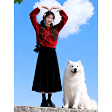 批发减龄搭配一整套2025深秋初<b class='q'>冬</b>新款高级感纯色针织毛衣半身裙两件套