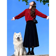 批发减龄搭配一整套2025深秋初<b class='q'>冬</b>新款高级感纯色针织毛衣半身裙两件套