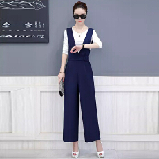 批发连体衣裤套装女士春<b class='q'>秋</b>2025新款时尚气质显瘦高腰阔腿连体裤两件套