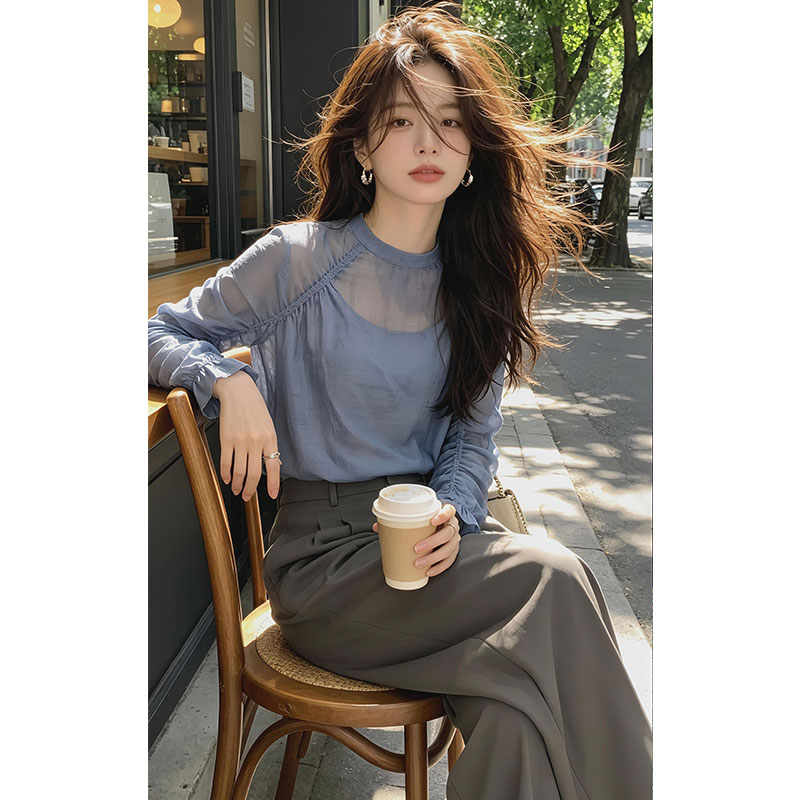 향기로운 듀오 라운드 넥 품격 얇은 스타일 마이크로 ~을 통해 셔츠 2026 여름 새로운 여성 의류 작은 대중 긴팔 맨위