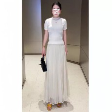 批发早春气质伞裙重工<b class='q'>百褶</b>长裙网纱双层半裙松紧腰垂坠感[流动月光]