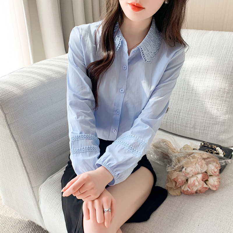 레이스 조각 폴로 칼라 화이트 셔츠 2026 봄 새로운 루즈핏 다용도 품격 연령 감소 맨위