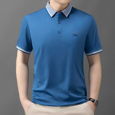 批发2026夏季新款中老年男士翻领短袖polo衫宽松高档半袖爸爸装上衣