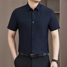 批发冰丝<b class='q'>男士</b><b class='q'>短袖</b><b class='q'>衬衫</b>男夏季新款薄款垂感高档<b class='q'>衬衣</b>中年爸爸装无痕寸衫