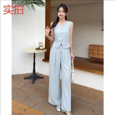 批发时尚通勤百搭套装女夏季新款高级感设计<b class='q'>修身</b>显瘦马甲阔腿<b class='q'>裤</b><b class='q'>两件套</b>