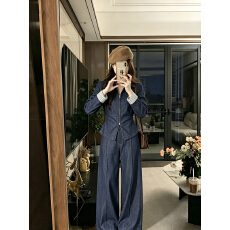 批发<b class='q'>大码</b>轻熟风仿牛仔套装女薄款软料翻领收腰外套高腰阔腿<b class='q'>长裤</b>两件套