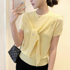 批发小众气质设计感披肩短袖<b class='q'>针织衫</b>女2026新款夏季收腰显瘦巨好看上衣