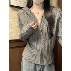批发安迪绒麻花连帽加厚拉链毛衣<b class='q'>开衫</b>外套<b class='q'>女</b>早春高级感软糯针织衫上衣