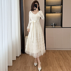 批发高端气质网纱半身裙女秋冬2025新款超仙a字长裙子显瘦层层蛋糕裙