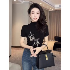 批发新中式国风刺绣半高领短袖<b class='q'>t</b><b class='q'>恤</b>女2025夏季小众设计感别致绝美上衣