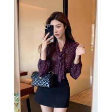 批发法式设计感飘带V领<b class='q'>衬衫</b>上衣女设计感气质<b class='q'>波点</b><b class='q'>雪纺</b><b class='q'>衫</b>长袖<b class='q'>衬衣</b>秋季