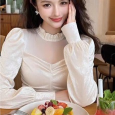 批发丝绒长袖<b class='q'>衬衫</b>女2025新款春秋内搭打底衫高级感法式独特别致小上衣