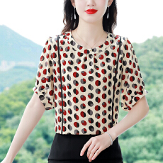 批发妈妈夏装时尚<b class='q'>波点</b><b class='q'>雪纺</b><b class='q'>衬衫</b>女2026夏季新款女士洋气遮肚子小衫上衣