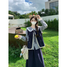 批发实拍实价~2025<b class='q'>森女</b>复古马甲<b class='q'>衬衫</b>半身裙三件套秋季学院甜美穿搭