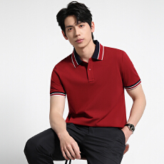 批发品质功能性翻领短袖T恤男<b class='q'>夏</b>季2025新款POLO衫百搭透气休闲上衣