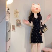 상품 썸네일 6