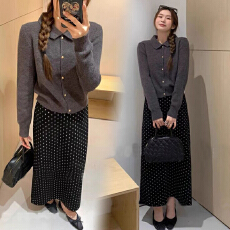 批发孕妇装 秋<b class='q'>冬</b>新款孕妇半身裙休闲针织波点一步裙中长裙