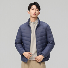 批发<b class='q'>欧美</b>风高品质轻薄羽绒服男士跨境立领新国标鸭绒外套休闲男装上衣