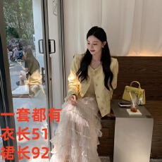 批发蝴蝶秀珠短外套女<b class='q'>秋</b>高级感上衣+网纱蓬蓬蛋糕裙法式半身裙