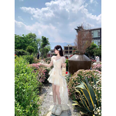 批发白里BAILISTUDIO旷野蝴蝶 夏季法式茶歇前短后长设计感小众仙女裙