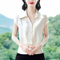 批发<b class='q'>夏</b>季气质精选设计感翻领小众<b class='q'>妈妈装</b>减龄S百搭宽松时尚洋气遮肉T恤