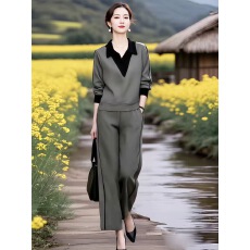 批发女装原创<b class='q'>品牌</b>旗舰店高级感假两件Polo领卫衣阔腿裤两件套秋季