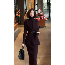 批发气质百搭<b class='q'>职业</b>范套装女秋冬新款修身显瘦百搭打底上衣半身裙三件套