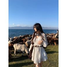 批发双层套里V领仙女裙设计感收腰初秋小个子白色长袖<b class='q'>连衣裙</b>女小白裙