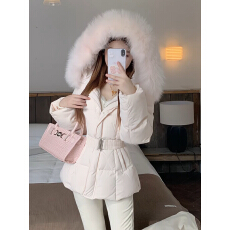 批发韩版收腰棉服立领羽绒马甲女冬季新款韩版小个子短款加厚保暖坎肩