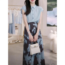 批发2026年夏季新款女装时尚<b class='q'>衬衫</b>上衣复古印花半身裙两件套装