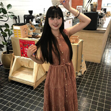 批发2026新品绑带格纹<b class='q'>衬衫</b>连衣裙女夏季法式无袖通勤显瘦长裙