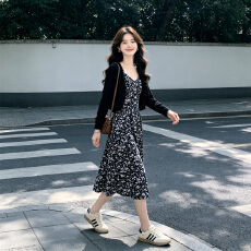 批发夏季2026新款<b class='q'>连衣裙</b>时尚洋气女装今年流行春秋两件套装碎花裙子