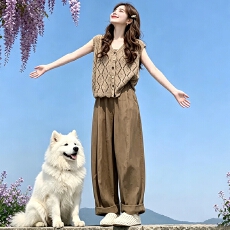 批发松弛感休闲套装女2026夏季新款时尚洋气马甲罩衫背心阔腿裤三件套