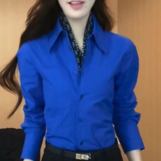 批发小众百搭蓝色气质<b class='q'>衬衫</b>高级感翻领显瘦<b class='q'>衬衣</b>春季别致减龄长袖小衫女