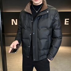 批发新国标<b class='q'>冬</b>季新款羽绒服商务爆款男士白鸭绒加厚保暖立领上衣外套