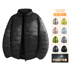 冬季新款立领波浪国标90白鸭绒男轻薄保暖百搭休闲情侣羽绒服外套