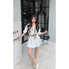 批发简约休闲<b class='q'>衬衣</b>裙连衣裙长袖<b class='q'>衬衫</b>裙收腰显瘦气质短袖<b class='q'>衬衫</b>