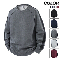 批发高品质<b class='q'>春</b>秋季运动男士透气纯棉宽松加肥加大码休闲圆领套头卫衣