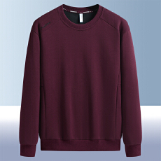 批发高品质<b class='q'>春</b>秋季运动男士透气纯棉宽松加肥加大码休闲圆领套头卫衣