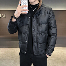 批发新款高品质有质检白鸭绒舒适保暖休闲百搭羽绒服男士立领外套