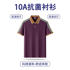 批发爆款高品质仿棉圆珠10A级抗菌抗紫外线吸湿排汗商务polo衫