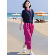 批发时尚洋气百搭针织衫+牛筋腰休闲<b class='q'>裤</b>套<b class='q'>装</b>春